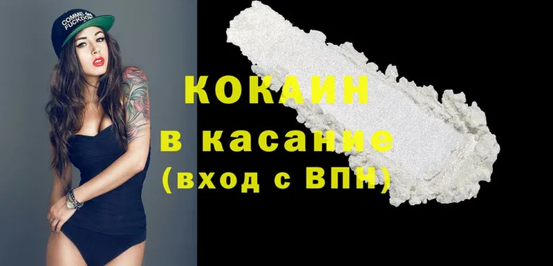 как найти закладки  Камышлов  Кокаин FishScale 